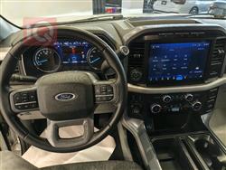 فۆرد F-150